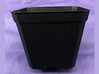 3½" Square Black Pot
